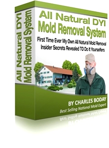 All Natural Mold Removal Kit (Basic)